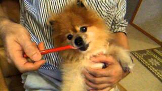 DSCF6882.AVI
