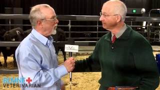 What matters in heifer selection