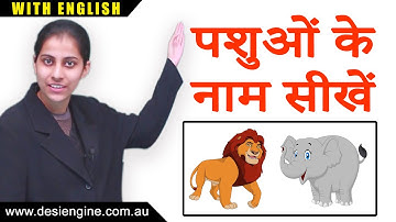 पशुओं के नाम सीखें | Learn Animals Name | Learn Hindi | Desi Engine India