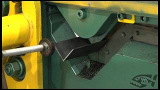 Piranha Angle Shearing