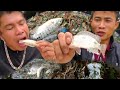 CÁ NHẢY SIÊU PHẨM TO KHỦNG Từ Trước Giờ Tổng hợp Cùng Anh Em. Raw Fish Dishes | Duy Thao