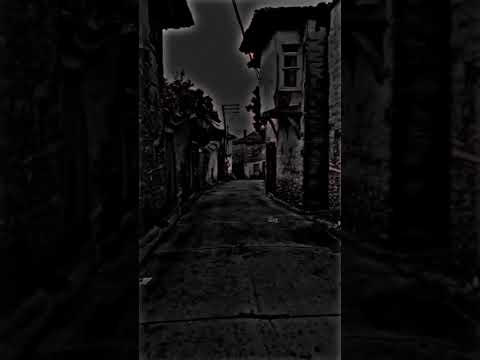 لالي اهل لالي جوارين