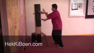 Martial Arts Orange County Wing Chun Internal Power Video Demonstration 1
