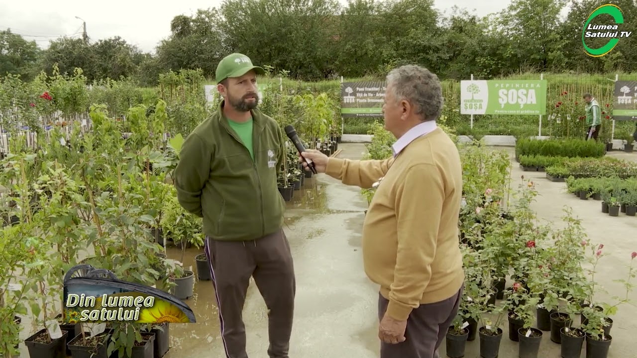 Pepinierele cu pomi fructiferi și plante ornamentale, afaceri care aduc profit