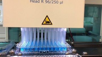 Analytik Jena CyBio Felix liquid handler prefilling a 96 well plate