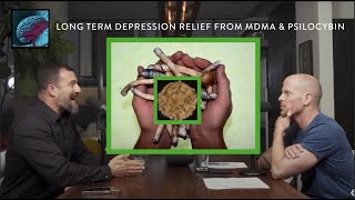 The powerful Impact of Psychedelics for healing #andrewhuberman #neuroscience #psychedelic