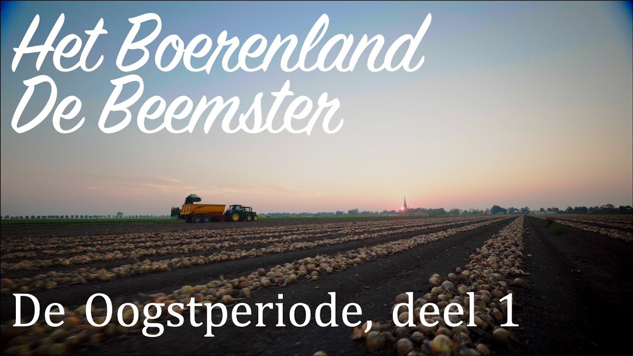 Het Boerenland de Beemster | De Oogstperiode, deel 1
