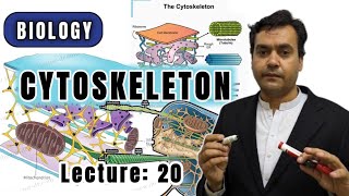 Cytoskeleton || Biology || Class 11 || Dr Mushtaq Pashto Lectures