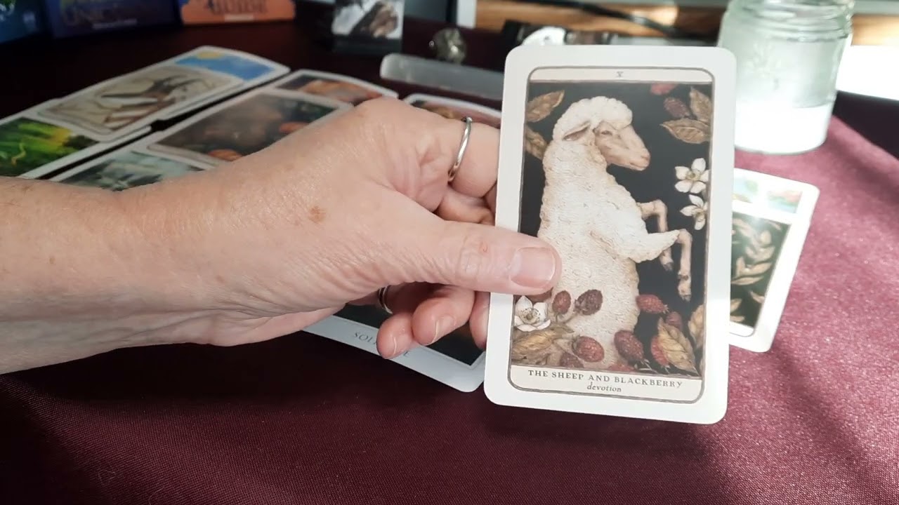 BONUS READING: Libra, you are on the path to happiness and success!!!          Watch until the end!