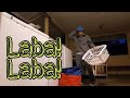 Laba! Laba!