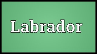 Labrador Meaning