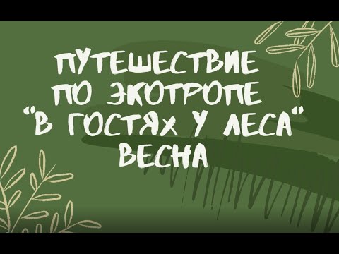 Экологическая тропа в гостях у леса Экскурсия