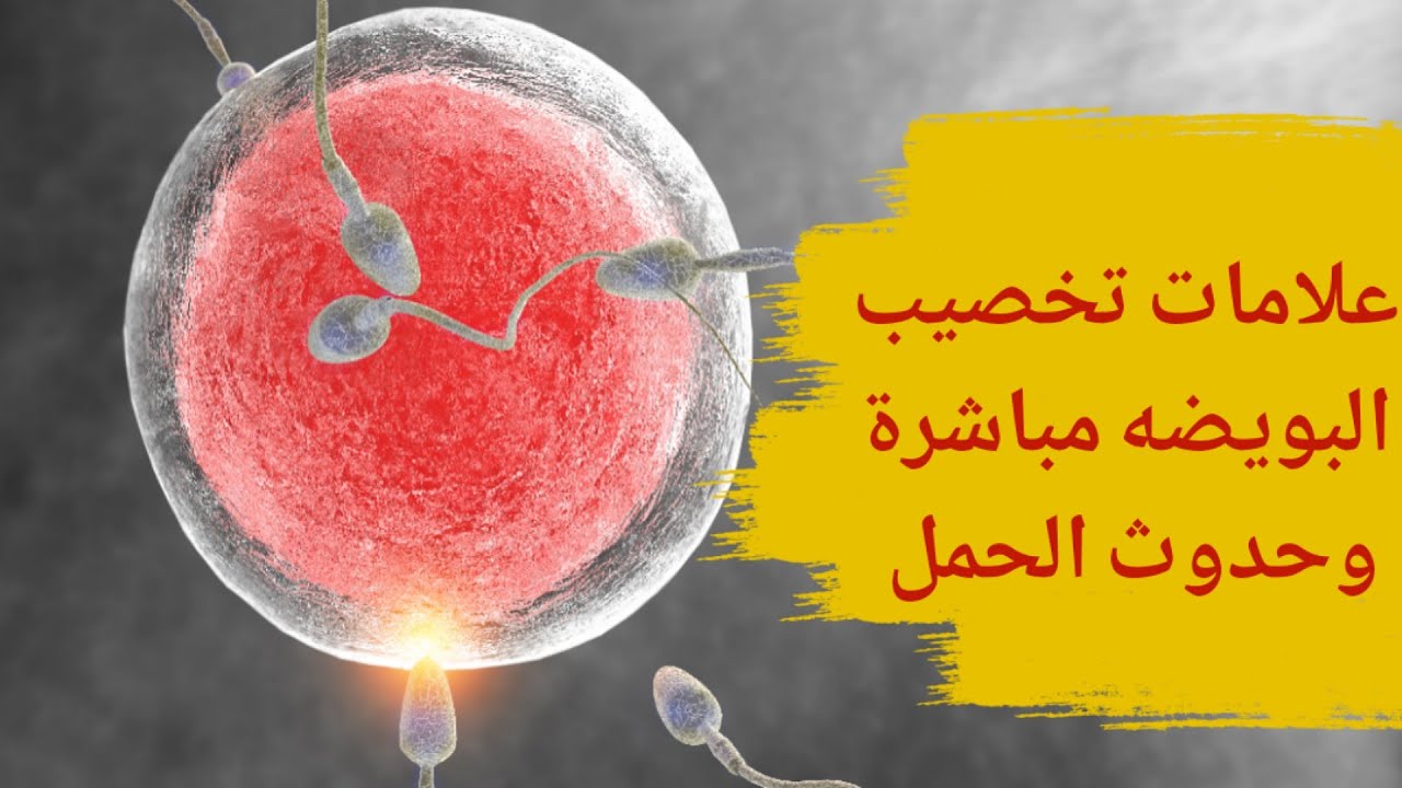 علامات تخصيب البويضة مباشرة اول علامات الحمل بعد يوم واحد او يومين من تلقيح البويضه وحدوث الحمل Youtube