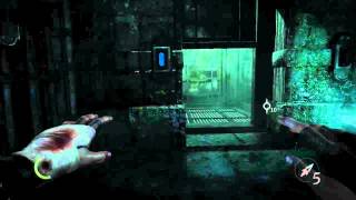 Thief Miniclip #3 - Scary Moment in Moira's Asylum