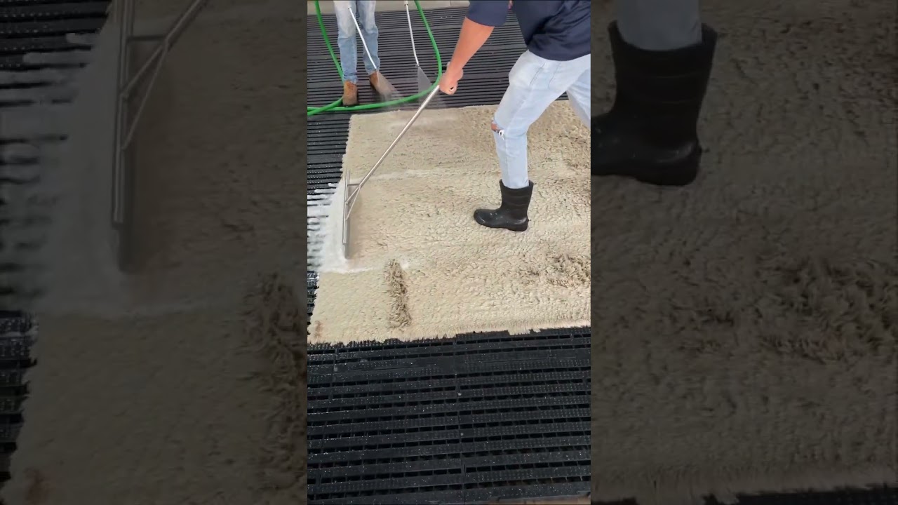 PROCESSO DE LIMPEZA DE TAPETES