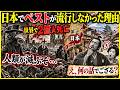 なぜ日本は「黒死病」の地獄を免れたのか？海・ネズミ・衛生が築いた“見えない防壁”…結局、歴史を動かしたのは将軍より屋根裏のネズミだった！