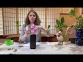 Nature Into Life: A brief intro to creating Ikebana
