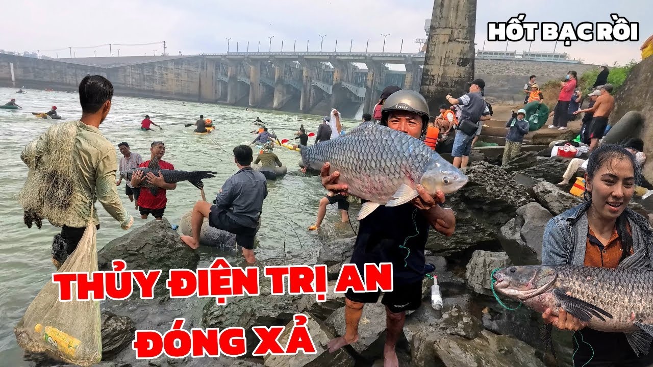 Trực tiếp Thủy điện Trị An Đóng Cửa Xả lũ - Xuất Hiện Cảnh Tượng Hàng Nghìn Người Săn Dưới Chân Đập