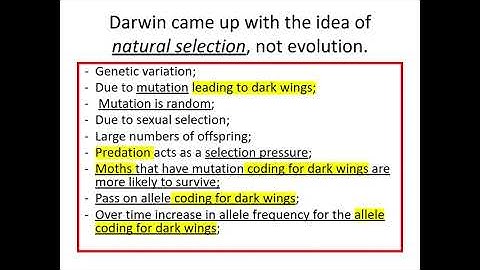 4.2.2. Classification and Evolution (h) Natural Selection