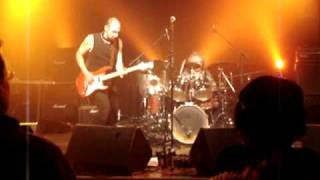 JUNGLE TRIP - Wang Dand Doodle