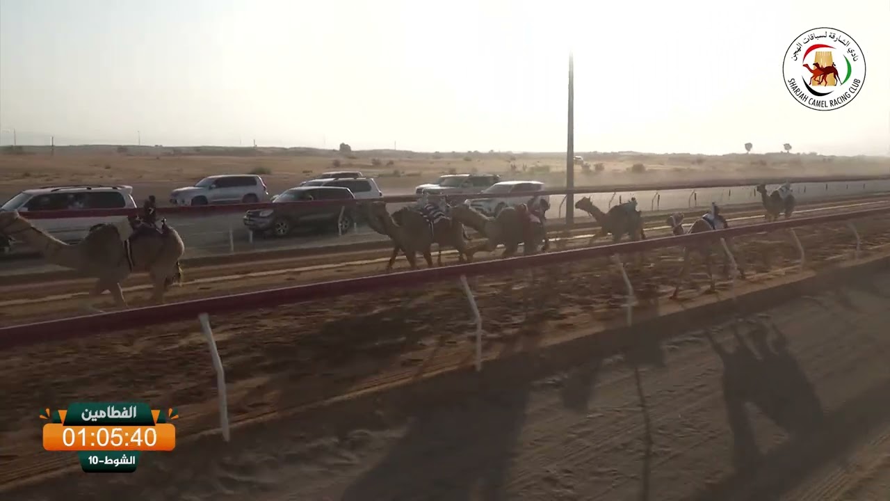 ش 10 الفطامين 7/3/2026 الفارس - الاب الفارس بعير سهيل بن يميع لـ سالم متعب سالم راشد التوقيت:2:12:00