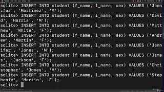 42 SQLite3 Tutorial 2
