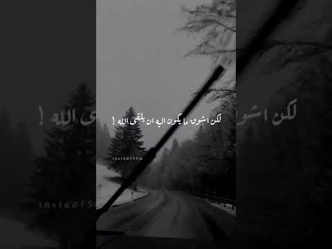 وسواس الخوف من الموت لا تخاف من الموت محمد الشنقيطي 