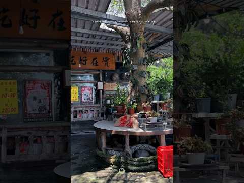桃園 新屋綠色隧道海鮮餐坊 便宜又大碗的海鮮餐廳