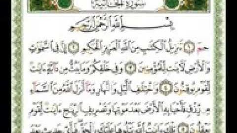 الورد اليومي سورة الجاثية بصوت ناصر القطامي