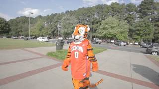 The Life of the Tiger What Is The Clemson Mascot