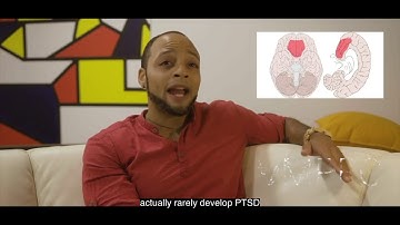 Introduction to Brain and Consciousness 4.8 - Memory & Emotion - Phobia & PTSD