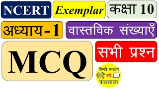 NCERT Exemplar Class 10 Maths Chapter 1 | in hindi | MCQ | Exercise 1.1 | real numbers | objective screenshot 5