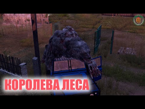 2К Fas  PvE  🎀🎀КОРОЛЕВА ЛЕСА 🎀🎀 LIVESTREAM#1