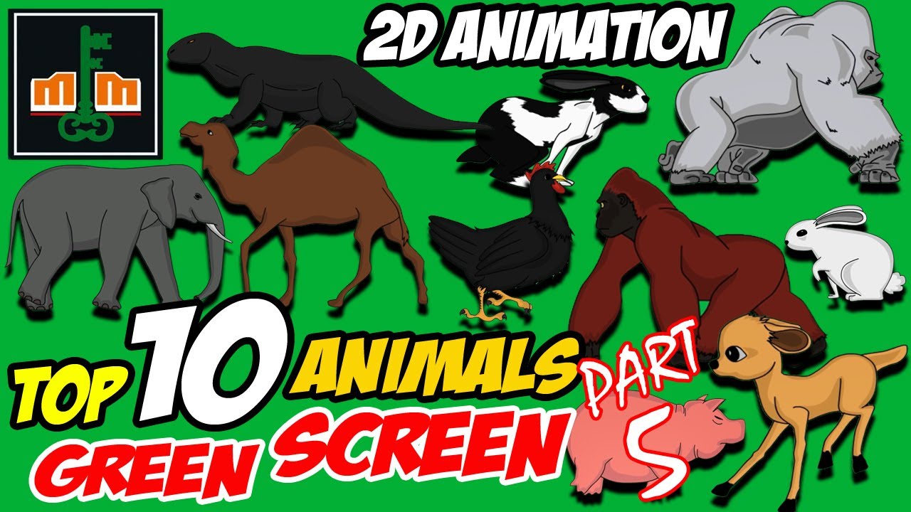 TOP 10 2D ANIMATION ANIMALS GREEN SCREEN PART 5