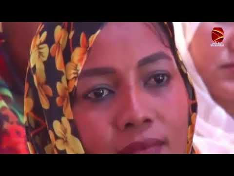 ال ـنـبـــون اكــى تــقـرل الفنان النوبى دوله العطا اغاني نوبيه دناقله