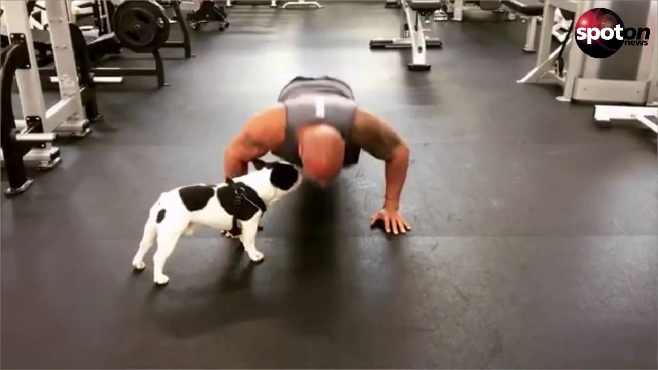 newspaper mockup Promis starten Viral-Aktion: Die #22PushupChallenge