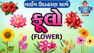ફૂલોના નામ | Flower Name | Flowers Name Gujarati English  Hindi | Flowers Name With Live Video