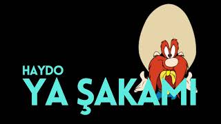 Haydo (Arabamın Rengi Şakamı) YA ŞAKAMII (Remix)