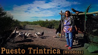 236 Puesto Trintrica Flia. Ortiz  2da. Parte (Mendoza)  Estancias y Tradiciones