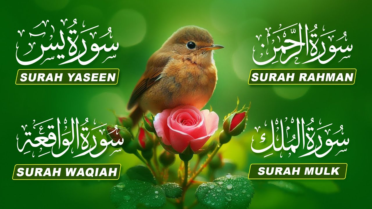 Most Beautiful Quran Recitation Surah Yasin (Yseen), Surah Rahman, Surah Waqiah, Surah Mulk