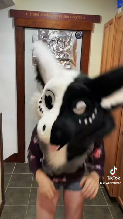 New Fursuit Unboxing!