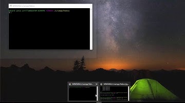 DataTable with laravel and vueJS