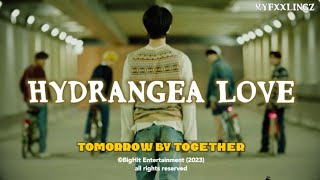 TXT (Tomorrow X Together) - Hydrangea Love Lirik Terjemahan Indonesia