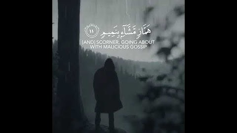 قران كريم #راحة_نفسية #اسلام_صبحي #تلاوة_خاشعة 😴