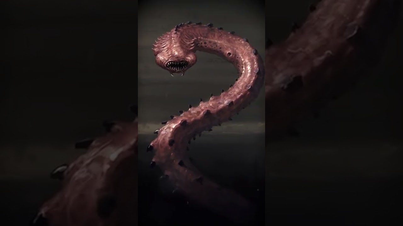 планария. planaria