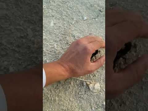 اهل البيت مو شويه معجزه مو طبيعيه يعني ما كارفه وعلي كارفه