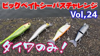 【ビッグベイトシーバスチャレンジ Vol,24】ダイワのルアーだけで流れの変化を攻略せよ！