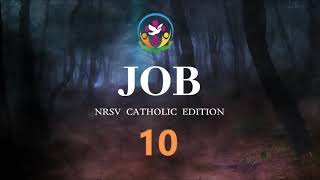 Job 10 | English Audio Bible | AFCM | NRSV Catholic Edition