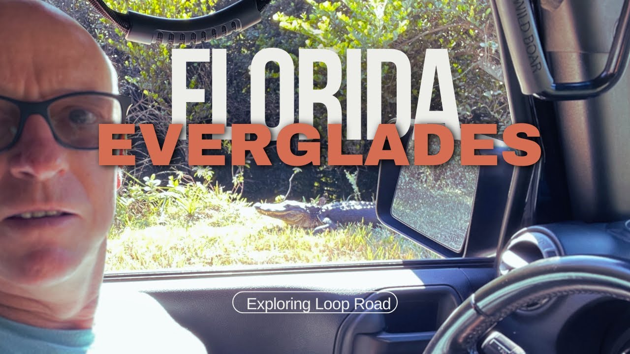 Overlanding Florida | Searching for alligators in the Florida Everglades
