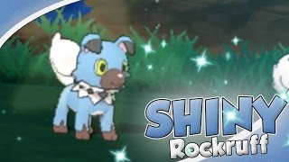 SHINY ROCKRUFF LIVE REACTION! Pokemon Sun and Moon. @Zant